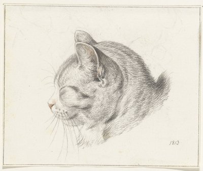 Kopf einer Katze, nach links von Jean Bernard