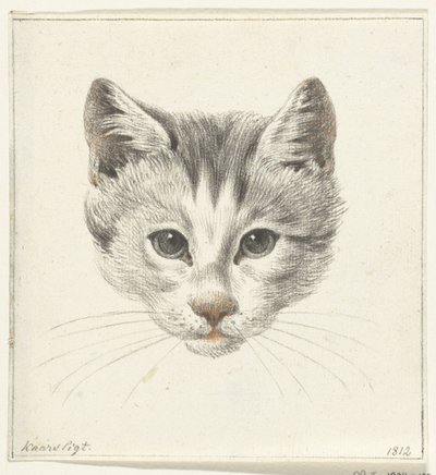 Kopf einer Katze, von vorne gesehen bei Kerzenlicht von Jean Bernard