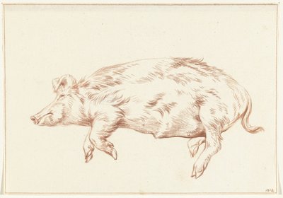 Liegendes Schwein, nach links von Jean Bernard