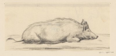 Liegendes Schwein, nach rechts von Jean Bernard