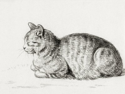 Liegende Katze von Jean Bernard