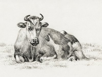 Liegende Kuh von Jean Bernard