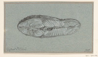 Stück gekochter Lachs von Jean Bernard