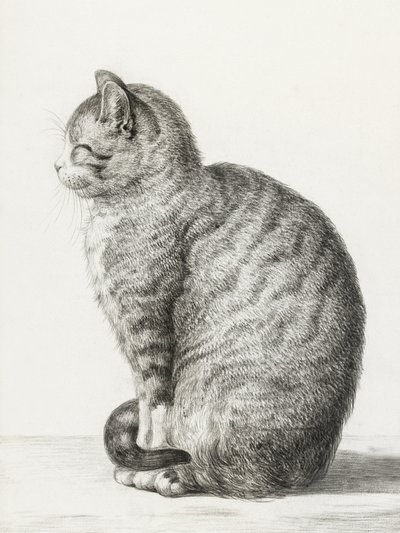 Sitzende Katze von Jean Bernard