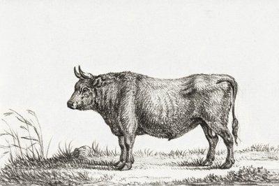 Stehender Stier von Jean Bernard