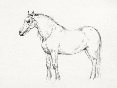 Stehendes Pferd (1818) von Jean Bernard