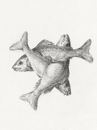 Drei Fische (1775–1833) von Jean Bernard