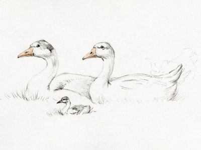 Zwei Gänse mit einem Jungen (1775–1833) von Jean Bernard