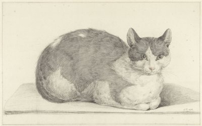 Sitzende Katze, nach rechts von Jean Bernard