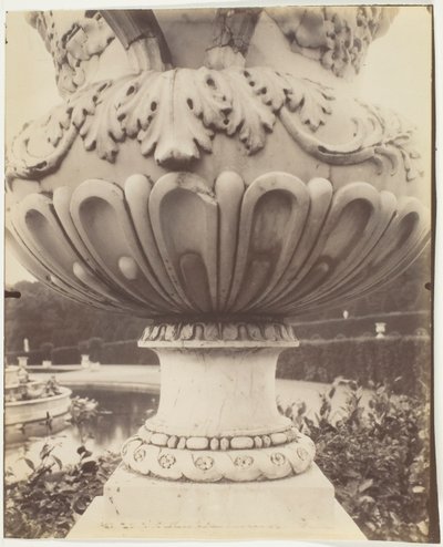 Versailles, Vase von Jean Eugène Auguste Atget
