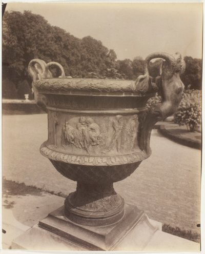Versailles, Vase von Ballin von Jean Eugène Auguste Atget