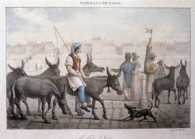 Altes Straßenhandwerk in Paris: Eselsmilchhändler - Gravur von Jean Henry Marlet (1771-1847) in „Les Tableaux de Paris“, Serie von 72 Drucken, Ende des 19. Jahrhunderts von Jean Henri Marlet