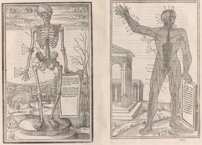 De dissectione partium corporis humani libri tres, 1545 von Jean Jollat