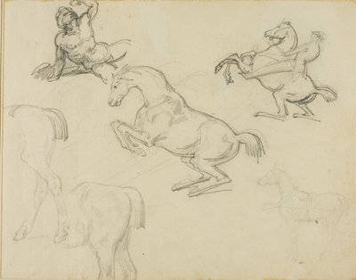 Skizzen: Liegender Akt, ein Reiter und verschiedene Pferde von Jean Louis André Théodore Géricault