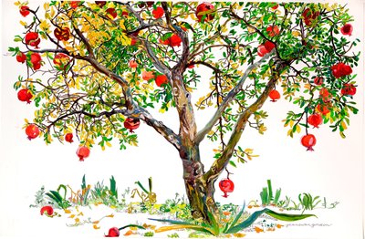 Granatapfelbaum, Monte Sereno von Jean Swan Gordon