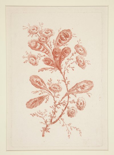 Ohne Titel (Ideale Blumen), aus einem Satz von sechs von Jeanne Deny