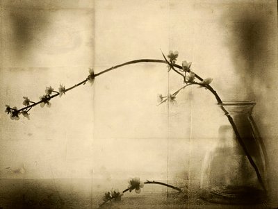 Sepia Blumen Stillleben von Jeffrey Hummel