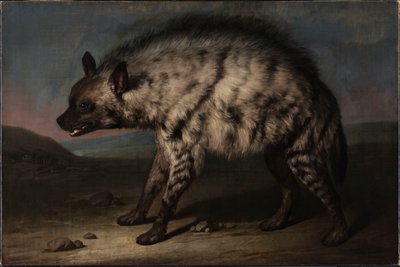 Die Hyäne im Menagerie am Schloss Frederiksberg von Jens Juel