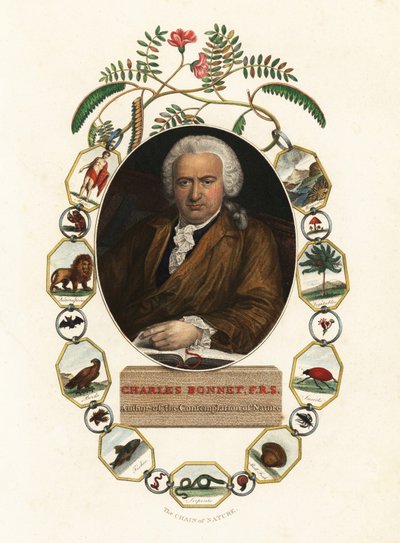 Porträt von Charles Bonnet, Genfer Naturforscher von Jens Juel