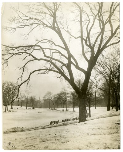 Boston Common & Froschteich, bei Baum, Boston, USA, um 1902-10 von Jessie Tarbox Beals