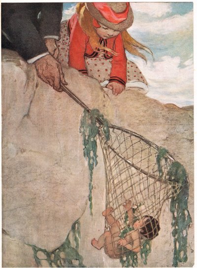 Tom verheddert sich im Fischernetz, Illustration aus 