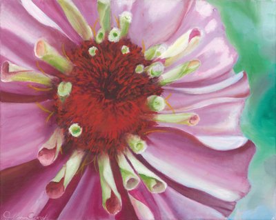 Lebendige Zinnienblüte von Jillian Claire