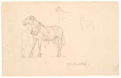 Drei Studien eines Pferdes von Joakim Frederik Skovgaard