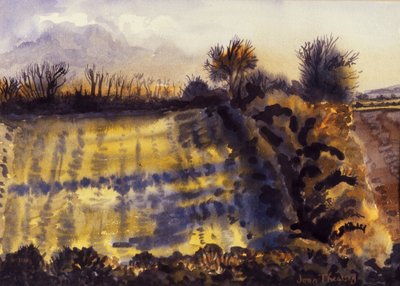 Feld mit langen Schatten von Joan Thewsey