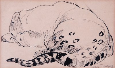 Skizze, Leopard, Londoner Zoo, 2005 von Joan Thewsey