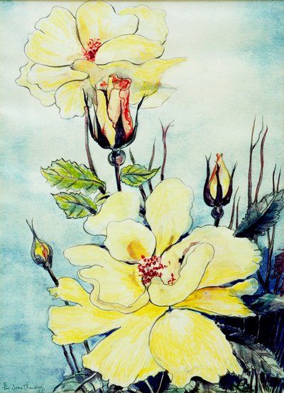 Gelbe Rose in einer Suffolk-Brise, 2005 von Joan Thewsey