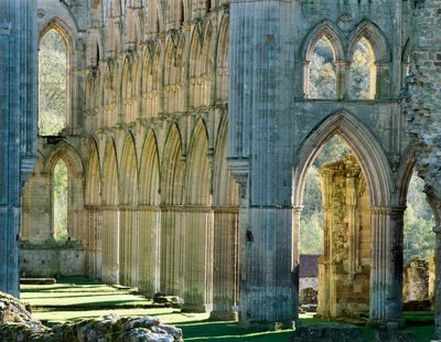 Rievaulx Abbey, ca. 1990-2010 von Joe Cornish