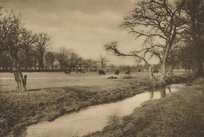 Wo der Beverley Brook durch den königlichen Jagdpark von Richmond fließt von Joel