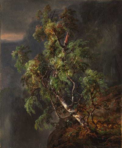Birkenbaum im Sturm von Johan Christian Dahl