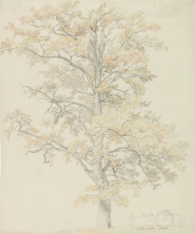 Eiche mit Herbstlaub, Milicz von Johan Christian Dahl