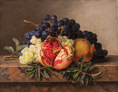 Granatäpfel und grüne und blaue Trauben auf einem Marmorrand, 1833 von Johan Laurentz Jensen