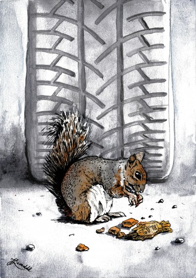 Eichhörnchen bei Reifenspur von Johan Liewendahl