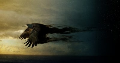 Vogelreich 2 von Johan Lilja