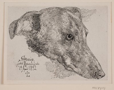 Hundekopf, Snip von Johan Lundbye