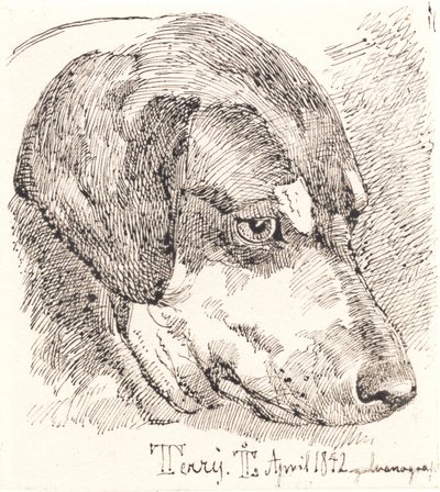 Hundekopf, Terry von Johan Lundbye