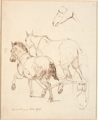 Ein Nordbagge und ein gewöhnliches Pferd vor demselben Wagen. F.o. Pferdekopf von Johan Thomas Lundbye