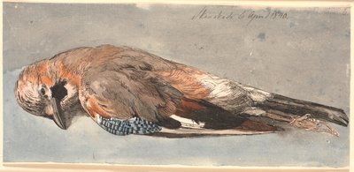 Ein toter Eichelhäher von Johan Thomas Lundbye