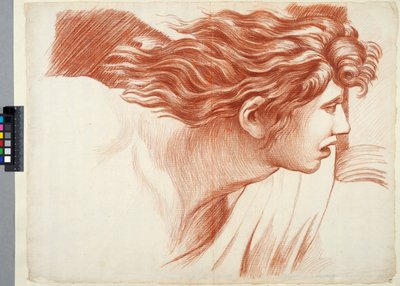 Akademiezeichnung. Detail aus Raffaels „Vertreibung des Heliodor aus dem Tempel“ im Vatikan, ein Kopf von Johan Tobias Sergel