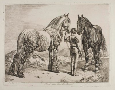 Schwarze Pferde aus Lincolnshire von Johann Adam Klein