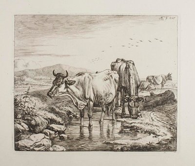 Vieh an einem Wasserloch von Johann Adam Klein