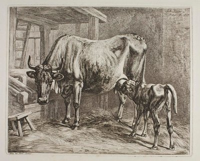 Kuh mit saugendem Kalb von Johann Adam Klein