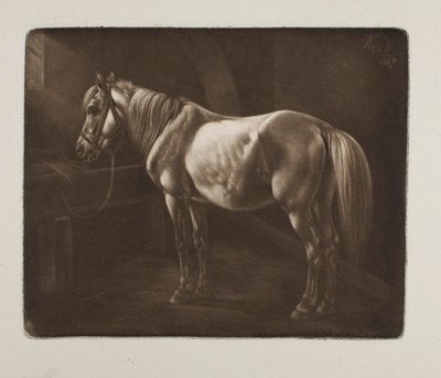 Pferd bei der Krippe von Johann Adam Klein