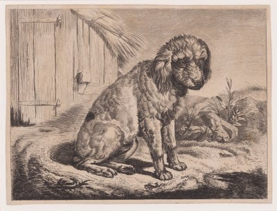 Sitzender Hund von Johann Adam Klein