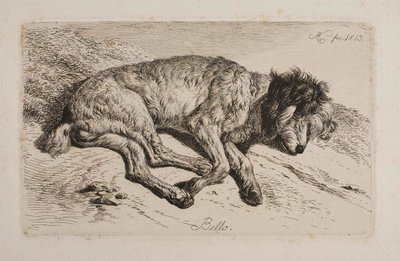 Schlafender Hund, Bello von Johann Adam Klein