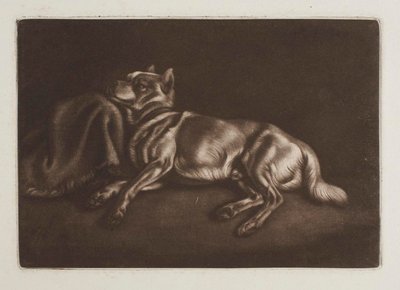 Spitz-Typ Hund von Johann Adam Klein