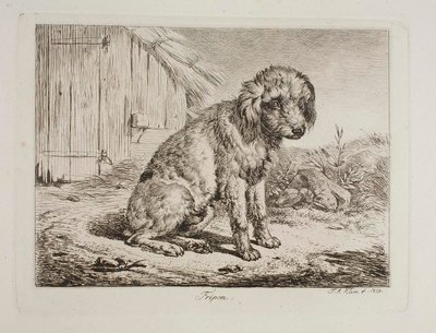 Der Pudel Fripon von Johann Adam Klein